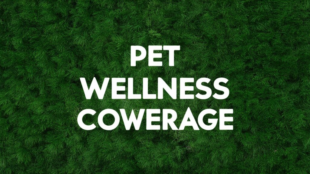 Pet Insurance Wellness Coverage